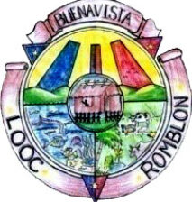 Buenavista logo copy